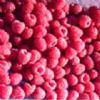  Red Raspberry Extract